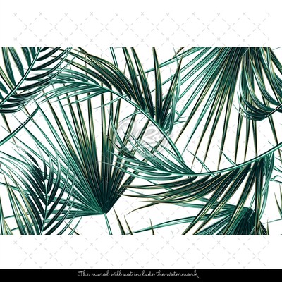 Papier peint Feuilles de palmier vert paradisiaque